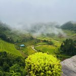 IMG_4479.jpeg