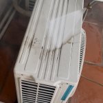 IMG_9710.jpeg