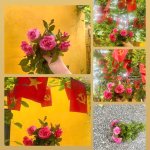 45CC8F3D-DA99-4C73-911A-8F55D6D58615.jpeg
