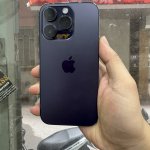 IMG_2876.jpeg