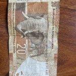 IMG_6875.jpeg