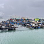 IMG_0439.jpeg