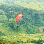 IMG_4617.jpeg