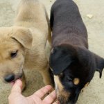 IMG_4502.jpeg