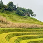 IMG_4494.jpeg