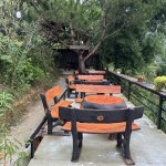 IMG_4475.jpeg