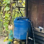 IMG_4519.jpeg