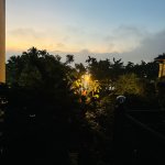 IMG_4669.jpeg