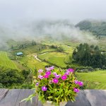 IMG_4482.jpeg