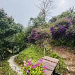 IMG_4472.jpeg