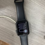 IMG_7310.jpeg