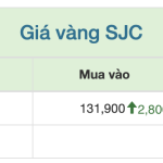 Ảnh màn hình 2025-09-03 lúc 10.31.49.png