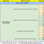 sim trung quoc -new T8.png