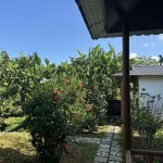 IMG_4710.jpeg