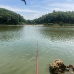 IMG_6016.jpeg