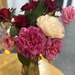 IMG_1588.jpeg