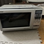 IMG_9801.jpeg