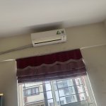IMG_9788.jpeg