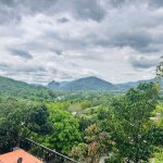 IMG_0158.jpeg
