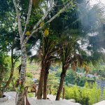 IMG_0165.jpeg
