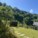 IMG_0212.jpeg