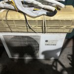 IMG_9800.jpeg