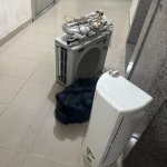 IMG_9795.jpeg