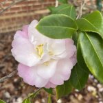 IMG_0567.jpeg