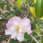 IMG_0568.jpeg