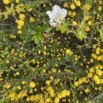 IMG_0571.jpeg