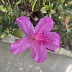 IMG_0574.jpeg