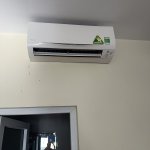 IMG_9817.jpeg
