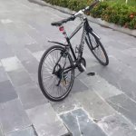 IMG_9853.jpeg