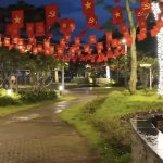 IMG_0908.jpeg