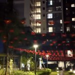 IMG_0909.jpeg