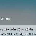 23147.jpg