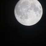 20250906_230315.jpg