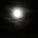 20250906_230656.jpg