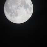 20250906_230225.jpg
