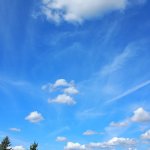 20250906_134958.jpg