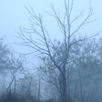 D3H_1736.JPG