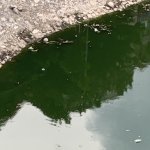 IMG_5319.jpeg