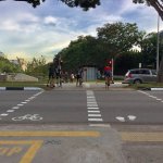 IMG_6702.jpeg