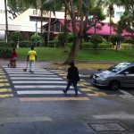 IMG_6703.jpeg