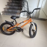 IMG_7765.jpeg
