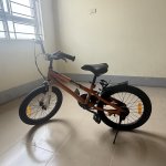 IMG_7766.jpeg
