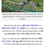 IMG_8627.png