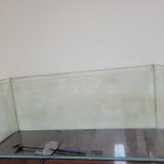 IMG_8565.jpeg