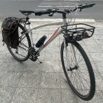 IMG_1550.jpeg