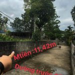 IMG_8586.jpeg